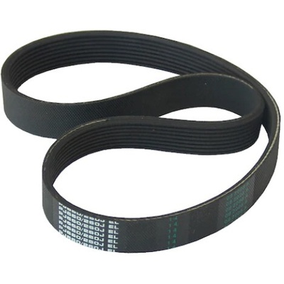 Bisonte 230J szíj BBY140 – BBY180-hez